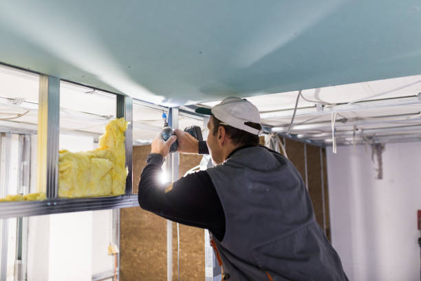 Insulation Replacement Services in Wallace, NC