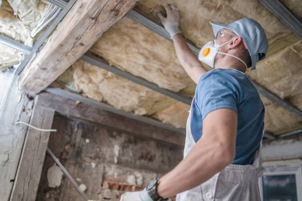 Best Insulation Replacement Services  in Wallace, NC