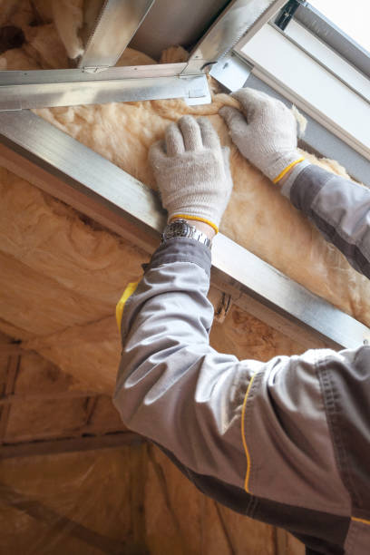 Best Fiberglass Insulation  in Wallace, NC