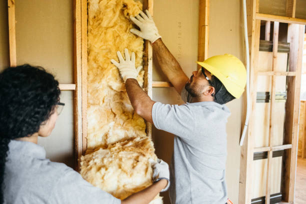 Best Insulation Contractors for Homes  in Wallace, NC