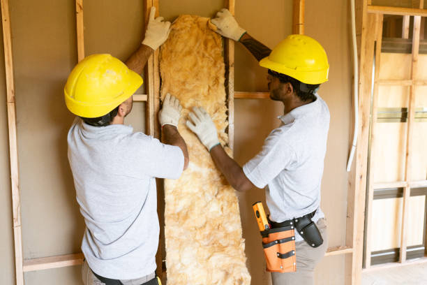 Best Best Insulation Companies  in Wallace, NC