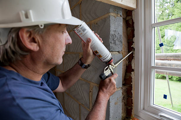 Best Residential Insulation Services  in Wallace, NC