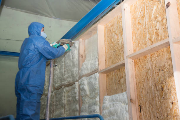 Best Insulation Inspection Services  in Wallace, NC