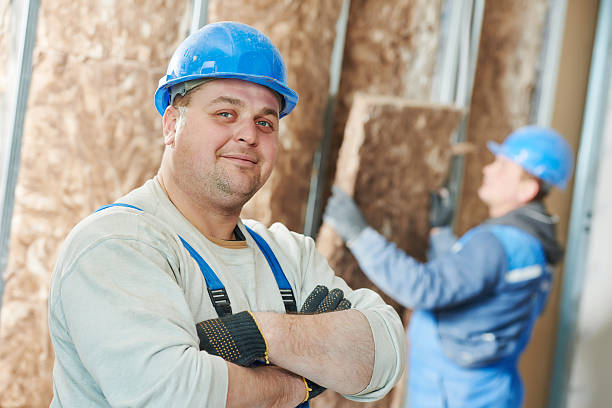 Best Spray Foam Insulation  in Wallace, NC