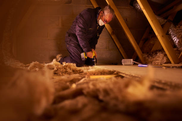 Best Crawl Space Insulation  in Wallace, NC